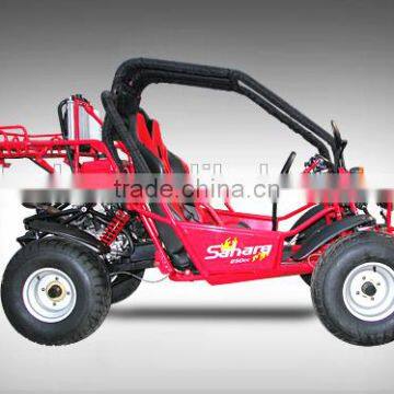 EEC 150cc/250cc Buggy photo-4