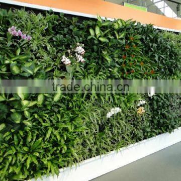 HX201704194 Artificial Plants Wall Boards photo-6