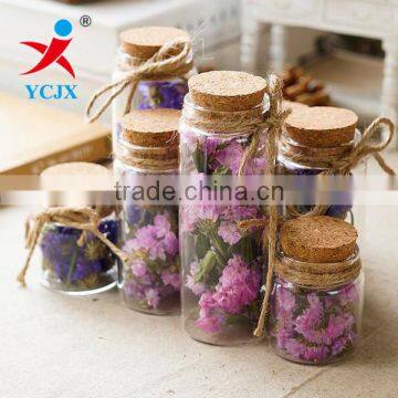 Wholesale Hand Blown Empty Cylinder Round Glass Bottles with cork lids