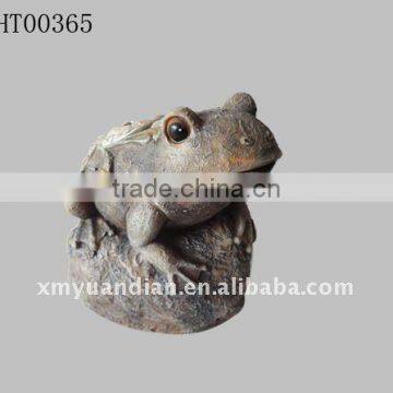 frog with pebbles on wing