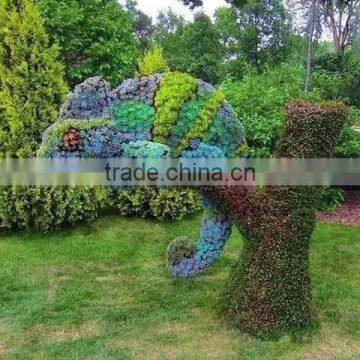 2015 Best Selling Various Shapes Artificial Panda Topiary Decorative Panada Topiary photo-5