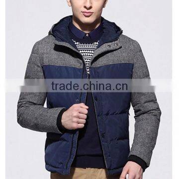 2015 Hot Latest Man's European Down Jacket photo-5