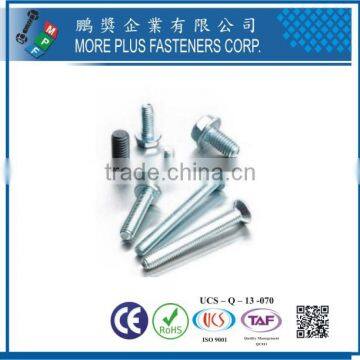 Maker in Taiwan Hot Sales Stainless Steel Thread Forming Screws photo-5