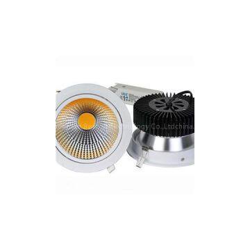 50W Sunflower COB LED Downlight