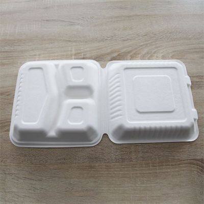 Eco Friendly Recyclable 3 Compartment Food Container photo-3
