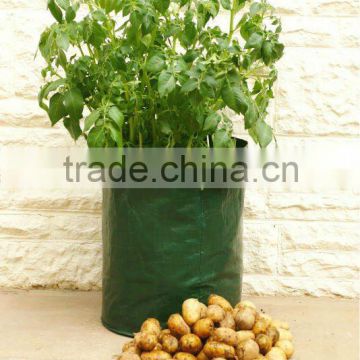 Plastic potato grow bag