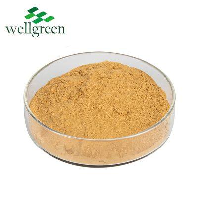 Dong Quai Root Extract Chinese Angelica Extrat Sinensis Dong Powder Ligustilide Powder photo-2