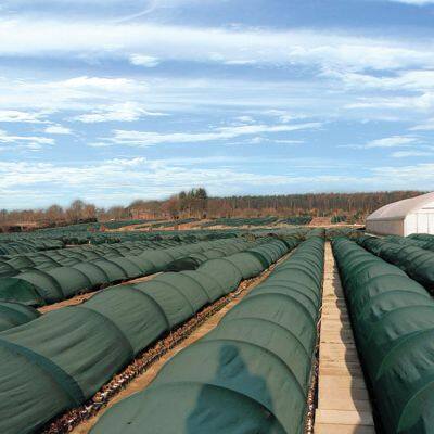 Agriculture Use Low Price Shade Net HDPE Material Sunshade Netting With UV Resistance photo-3