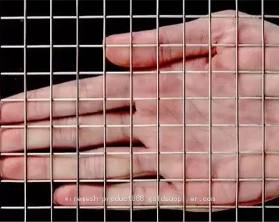 High Quality Galvanized Iron Welded Wire Mesh Panel photo-4