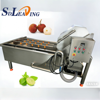 Fruit Cleaning Equipment Vegetable Cleaning Equipment Food Cleaning Machine