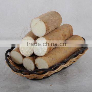 Factory Supply Wild Yam Extract Powder From Jiaozuo photo-4
