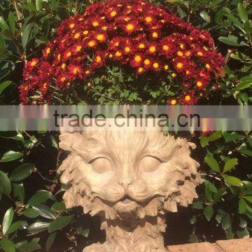 The Kitty Cat Animal Face Planter Stone Wash Garden Statue