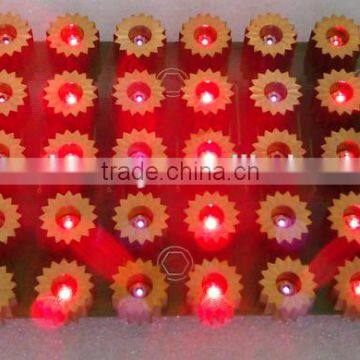 Portable 650nm/980nm Best Lipo Laser/ Diode Lipo Machine Price for Sale photo-2