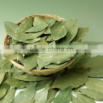 High Quality Laurel Leaf Soap