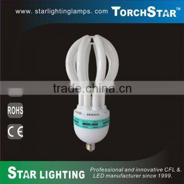 HOT Indoor use CFL lotus bulbs 8000h ultra long lifetime