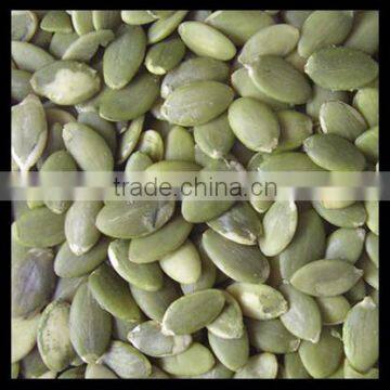 Dark Green Pumpkin Kernel