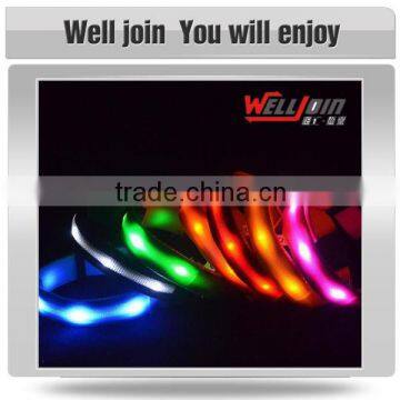 Various Good Quality Led Light Dog Collar photo-3