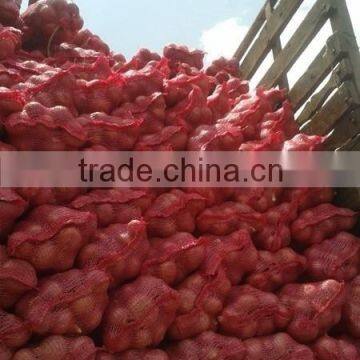 New Red Onion photo-2