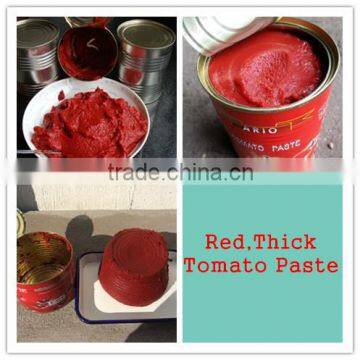 Factory supply high concentrated canned tomato paste,tomato sauce