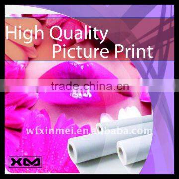 High quality Cotton&Poly Blend picture print canvas