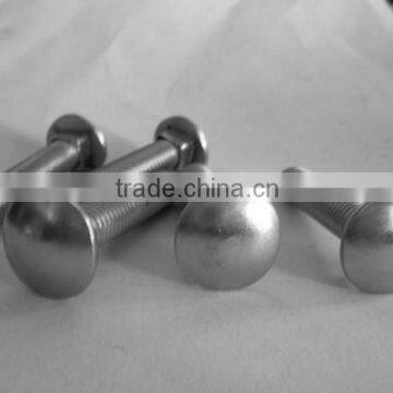 Fish Bolt photo-6