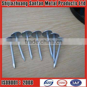 Galvanized Mushroom umbrella head roofing nails