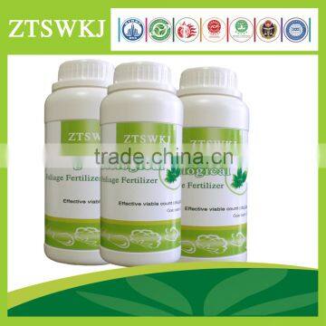 Prevent the Fruit Cracking Microorganism Bacterium Agent