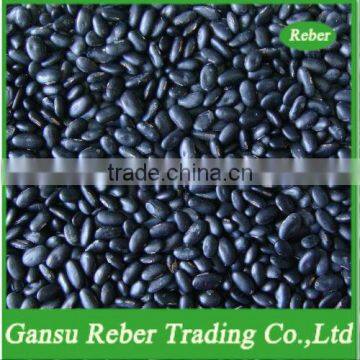 Small Black Kidney Beans Flat Type