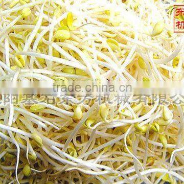 High Quality Black Bean Sprouts Machine 2015 New Product,automatic Bean Sprout Machine photo-2
