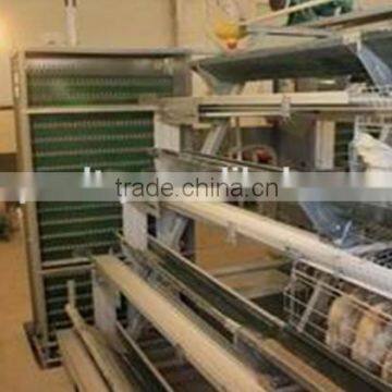 design layer chicken cages for chicken farming