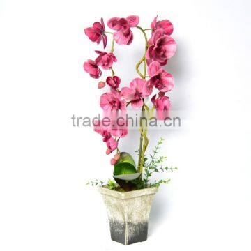 Decorative Artificial Scarlet Phalaenopsis Orchid Drop Plant