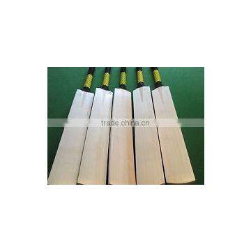 English Willow Cricket Bat