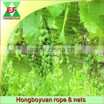 high quality cheap China agricultural plastic net hdpe anti bird net