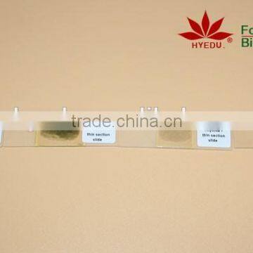 100pcs Mineral Rock Thin Section Slides Set