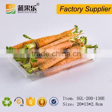 Rectangle fruit and vegetable plastic tray for supermarket