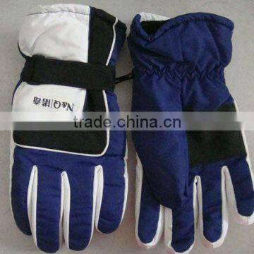 ski glove