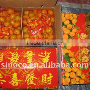 Sweet Baby Mandarin/Nanfeng mandarin