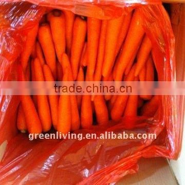 2014 Shandong local seasonable fresh carrots