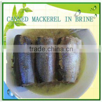 2015 seafood canned jack mackerel in brine