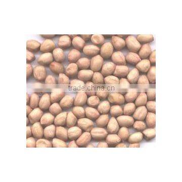 GROUNDNUTS