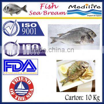 Sea Bream, Tunisian Fish Sea Bream,Fresh Sea Bream,Best Quality Fresh sea bream,10 Kg