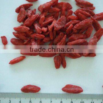 Bayas de Goji(2013 NEW CROP)