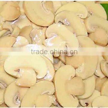 canned mushroom with fresh material and competitive price