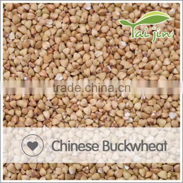 High quality Raw Buckwheat Seed With Low Price