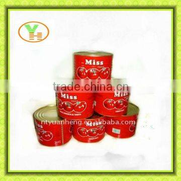 70G-4500G halal tomato paste ketchup for benin,togo,nigerial market