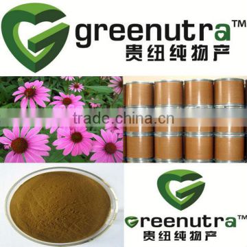 Echinacea Extract