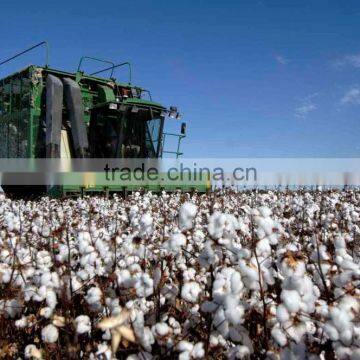 High Purity Competitive Price Mepiquat Chloride for Agricultural Crops photo-5