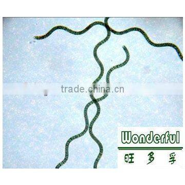 Spirulina exact liquid,wholesale spirulina,spirulina flakes/tablet