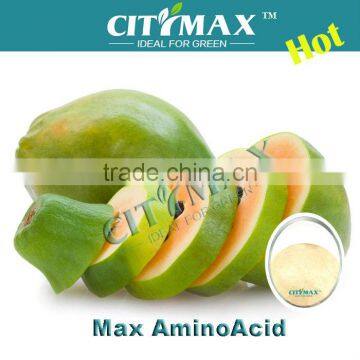 Fine Powder of Amine Acid