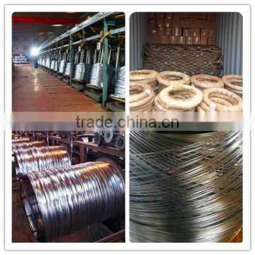 ISO 9001 BWG 5 - 28 galvanized wire per roll (Electro / Hot dipped galvanized)